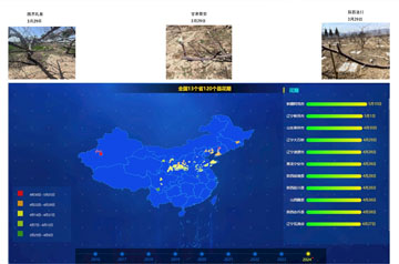 大部分產(chǎn)區(qū)蘋果花期較常年持平或偏晚 甘肅山東等產(chǎn)區(qū)需防范花期凍害風險