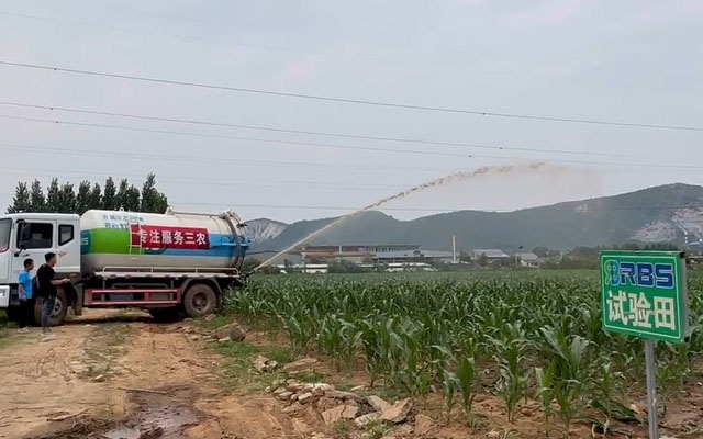 玉米追肥注意事項(xiàng) 追肥澆水要避開五大誤區(qū)