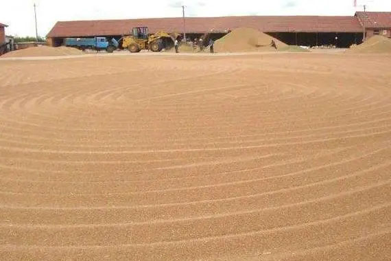 連綿陰雨天小麥?zhǔn)崭詈笤趺捶姥?、防霉?></div>
            </a></li>
          
          <li id=