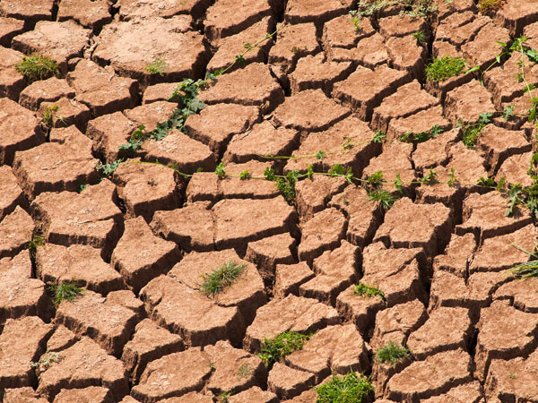 當(dāng)前黃淮?？购当Ｏ牟ゼ夹g(shù)意見