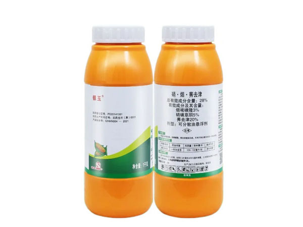 玉米田小麥苗太多用啥除草劑好？使用硝煙莠去津配方