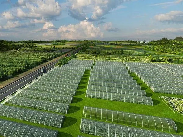 調(diào)控環(huán)境+防雨防災助越夏蔬菜安全生長