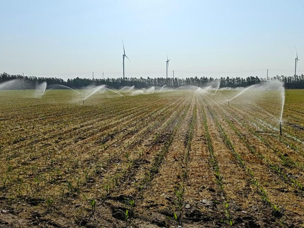 華北黃淮局地干旱持續(xù) 應(yīng)繼續(xù)抓好抗旱保苗 華北黃淮局地干旱持續(xù) 應(yīng)繼續(xù)抓好抗旱保苗