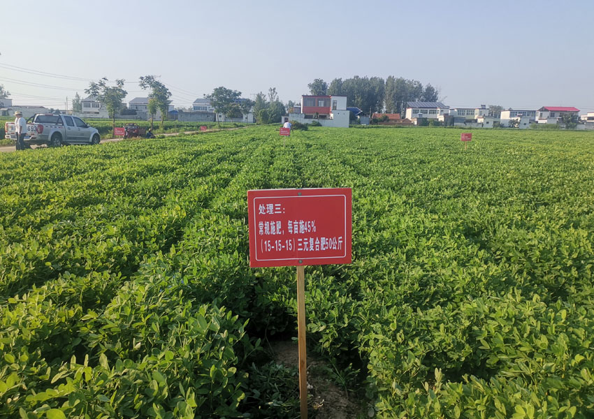 2024年科學(xué)施肥增效兩提兩調(diào)土壤改良集成技術(shù)土壤酸化調(diào)理試驗(yàn)