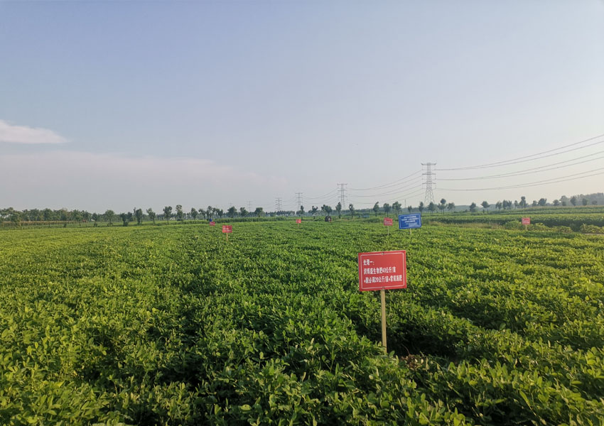 2024年科學(xué)施肥增效兩提兩調(diào)土壤改良集成技術(shù)土壤酸化調(diào)理試驗(yàn)